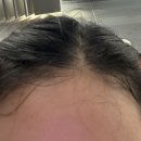 휘드853