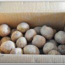 농산물 소개소 이미지