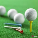 더블유스크린골프 이미지