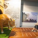 소싸움테마파크 이미지