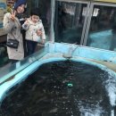 섬진강메기매운탕전문점 이미지