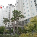 별내동(더샵) 이미지