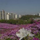 수리산역 이미지