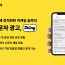 바나나몽키즈 서울경제