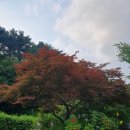 경남 산청 지막 계곡 캠핑장