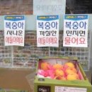 카와 이미지