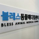 24시 블레스동물메디컬센터 이미지