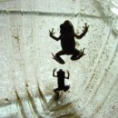 세종영재어린이집 이미지