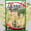 씨드하모니 쇼핑하우