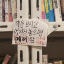 정글디자인 이미지