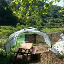 자연애농장 이미지