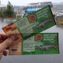 안면도쥬라기박물관 이미지