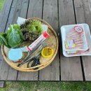 장동길농장 | 전북 촌캉스 숙소 시골 감성 고창 들꽃연가 1박 후기