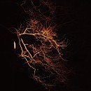 문화예술회관 대공연장 이미지