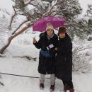 23년12월31일 설악산 눈내리는 멋진 설경~권금성 꼭대기 엉덩방아~마지막날 즐거운 추억#가수남순TV 이미지