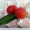 은서농장 이미지