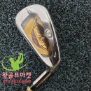 아이언 플렉스(IRON FLEX) 이미지