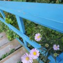 야생화 카페 펜션 이미지