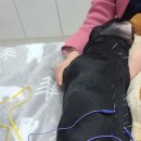 두암동물병원 이미지