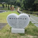 배실 이미지