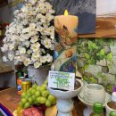 우물청과 이미지