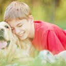 [1급과정] 반려동물관리사 1급 이미지