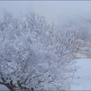 삼가-21 이미지