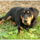 동창농장 이미지