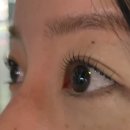 서정로 | [평택/송탄]나빌레라눈썹&amp;속눈썹ㅣ평택 송탄 속눈썹펌 가격 정보 솔직 후기