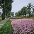 증평대교 앞 이미지