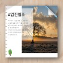 갑진유통 이미지
