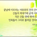 미가면 이미지