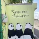 선미 식당 이미지