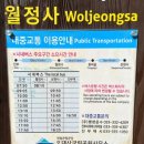 [강원/평창] 천년 옛길! 선재길, 월정사-상원사코스, 단풍여행