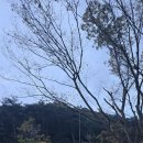 이안힐링캠핑