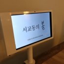 서교동의봄 이미지