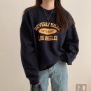 비버 이미지