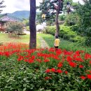 신지생태공원 이미지