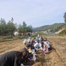 행복한 은혜농장 이미지