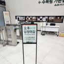 여왕의정원 | ​[수원 가볼만한곳] 5월 30일 마감! 눈물의 여왕 촬영지, 일월수목원 '밤빛정원' 야간개장 막차 탑승 후기