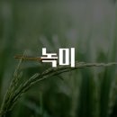 녹미