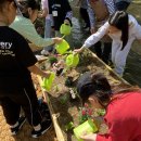 횡성초등학교 이미지