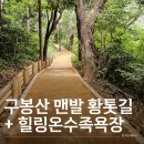 구봉산 맨발 황톳길,힐링온수족욕장 직접 체험 후기