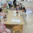 서울중랑초등학교병설유치원 이미지