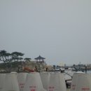 the sea 펜션 이미지