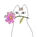 꽃차 소믈리에로의 초대 이미지