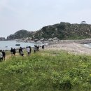 소연평도 Daum카페