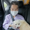 백구(10)