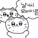 소담김밥 - 횡성군 읍마북로 13 | 소담김밥