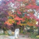 정화수도원 이미지